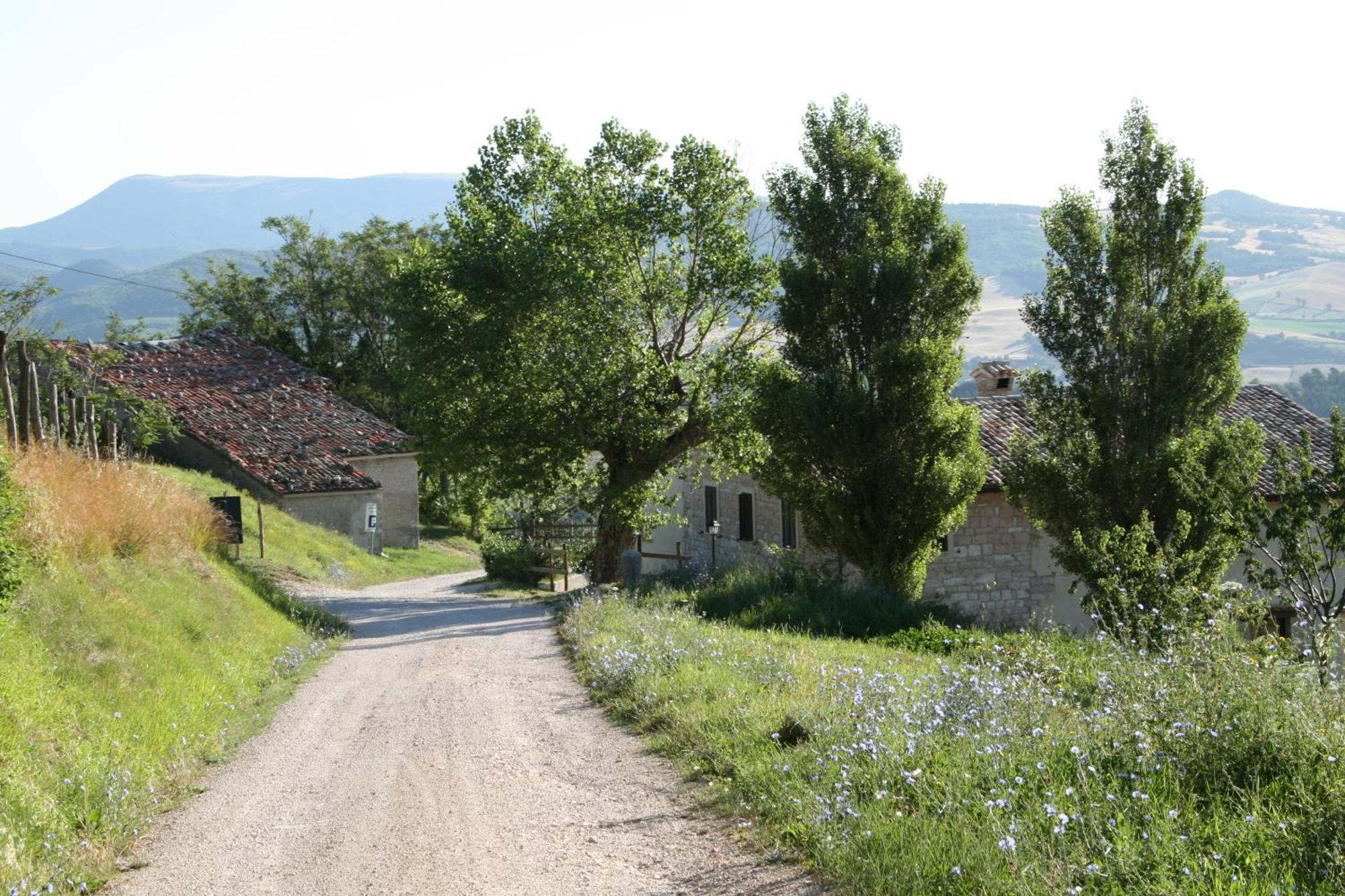 Villa Colticciola Cagli Esterno foto